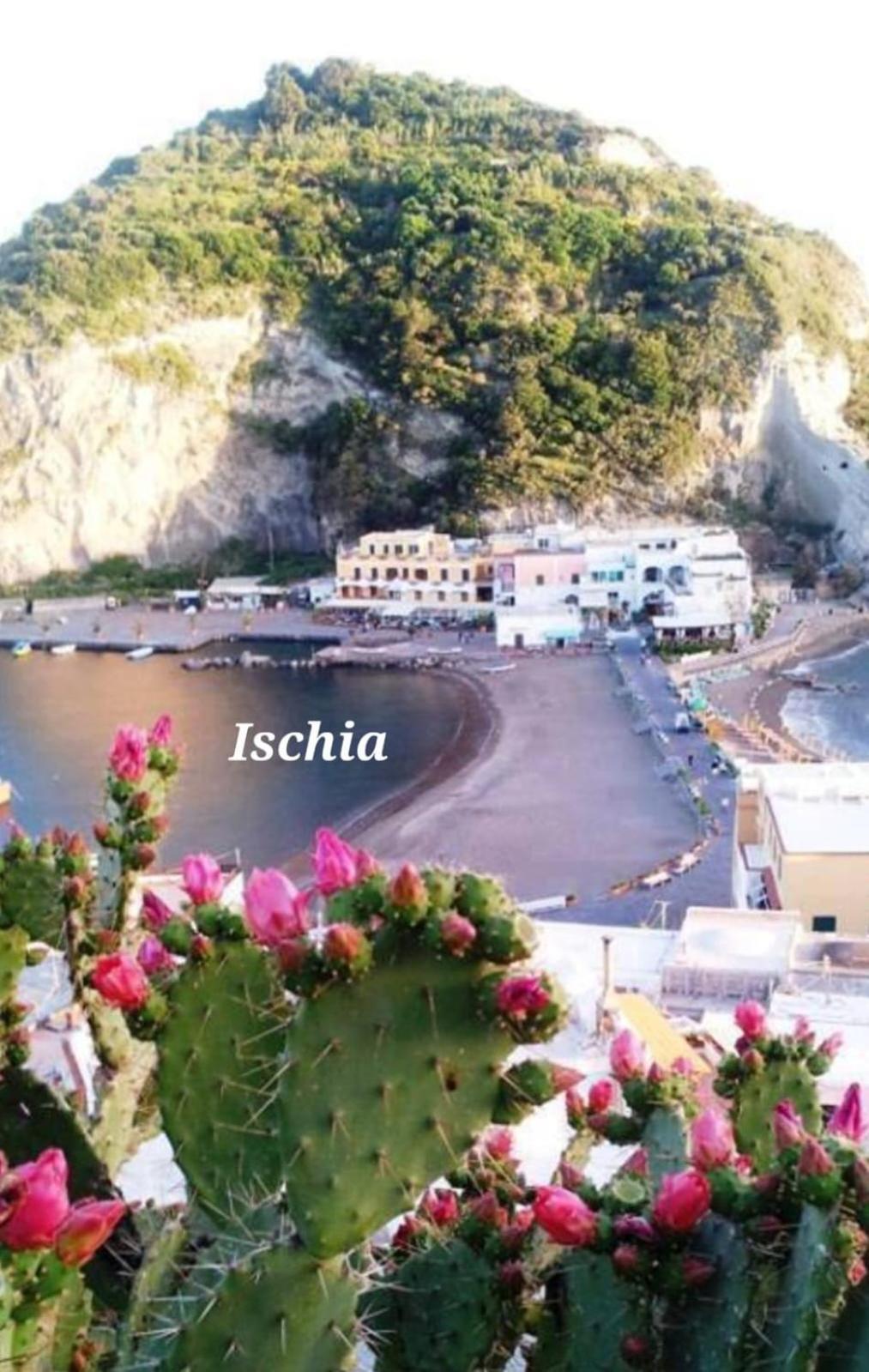 La Perla